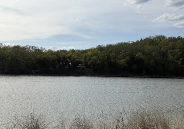 4th image of 1781 Hardin Bottom River Rd, Clifton, TN 38425 | MLS# 3168475