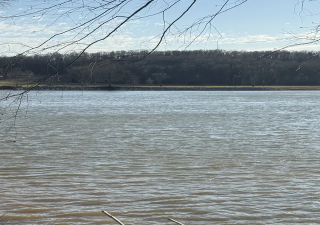 21st image of 415 Hardin Bottom Rd, Clifton, TN 38425 | MLS# 3168372