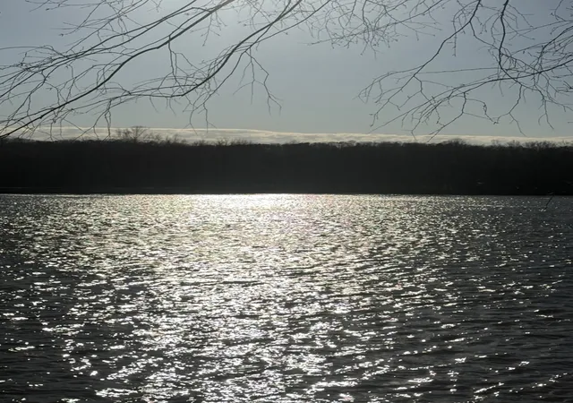 5th image of 415 Hardin Bottom Rd, Clifton, TN 38425 | MLS# 3168372