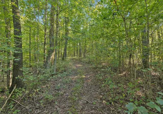 Photo 2 of Land for sale at 8435 Taliaferro Rd, Eagleville, TN 37060 | MLS# 3168550 | Listing updated on 2026-09-23