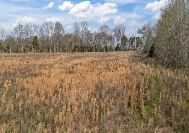 Photo 2 of Land for sale at 362 Hayes Ridge Rd, Indian Mound, TN 37079 | MLS# 3169016 | Listing updated on 2026-07-29