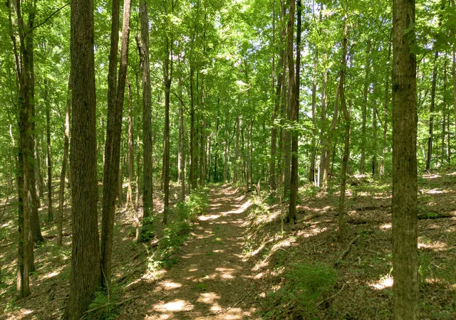3rd image of 8218 Old Pond Creek Rd, Pegram, TN 37143 | MLS# 3224886