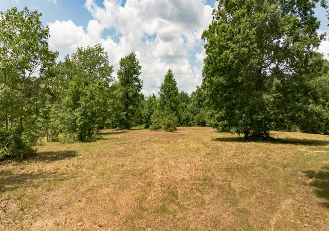 4th image of 8218 Old Pond Creek Rd, Pegram, TN 37143 | MLS# 3224886