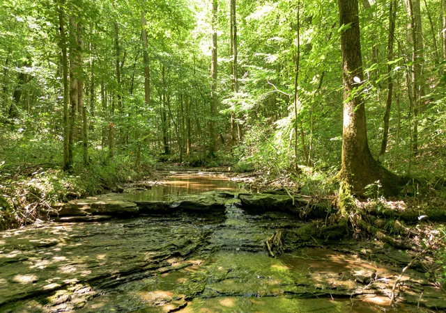 5th image of 8218 Old Pond Creek Rd, Pegram, TN 37143 | MLS# 3224886