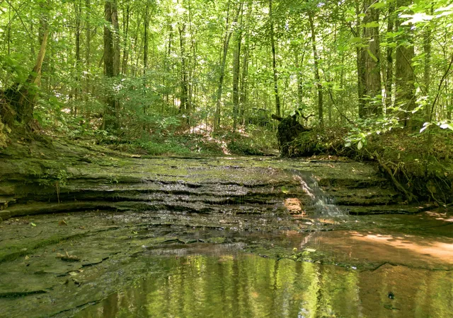 1st image of 8218 Old Pond Creek Rd, Pegram, TN 37143 | MLS# 3224886