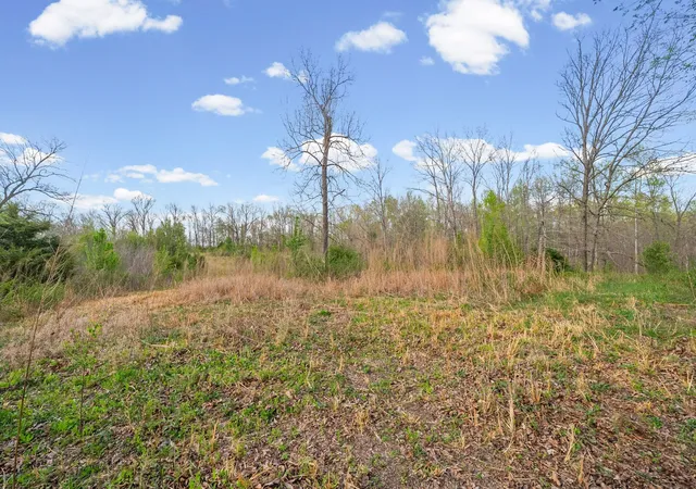 Photo 3 of Land for sale at 3 Bud Parker Ln, Erin, TN 37061 | MLS# 3169993 | Listing updated on 2026-10-27