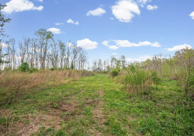 Photo 4 of Land for sale at 3 Bud Parker Ln, Erin, TN 37061 | MLS# 3169993 | Listing updated on 2026-10-27