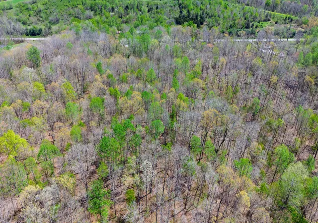 Photo 4 of Land for sale at 0 Highway 13, Erin, TN 37061 | MLS# 3169347 | Listing updated on 2026-08-31