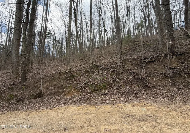 Photo 2 of Land for sale at 401 Reece Holw Rd, Del Rio, TN 37727 | MLS# 3169421 | Listing updated on 2026-09-21