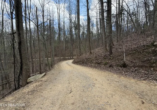 Photo 3 of Land for sale at 401 Reece Holw Rd, Del Rio, TN 37727 | MLS# 3169421 | Listing updated on 2026-09-21