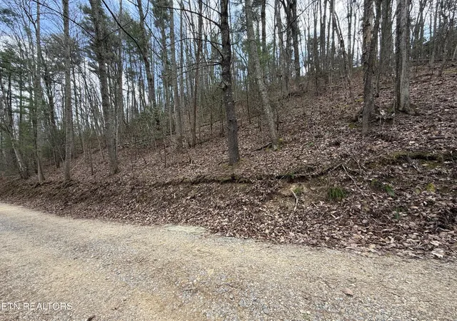 Photo 1 of Land for sale at 401 Reece Holw Rd, Del Rio, TN 37727 | MLS# 3169421 | Listing updated on 2026-09-21