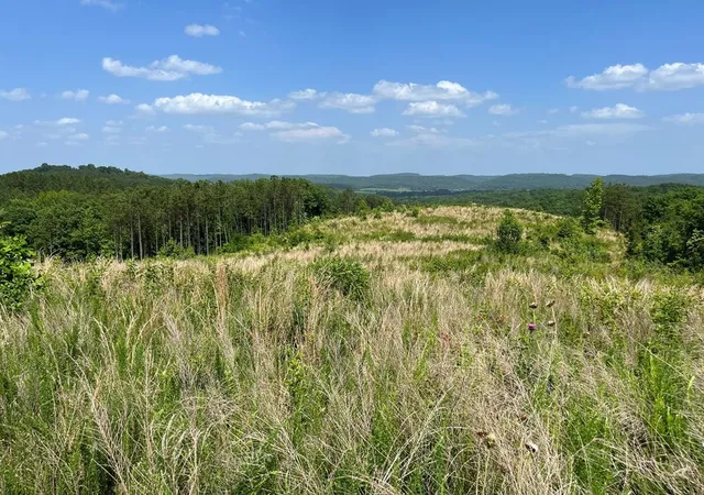 1st image of 0 County Road 53, Athens, TN 37303 | MLS# 3223424