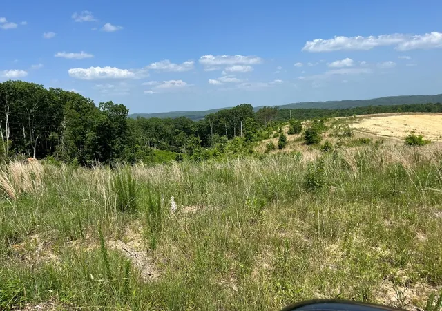 2nd image of 0 County Road 53, Athens, TN 37303 | MLS# 3223424