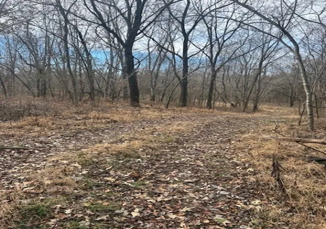 3rd image of 0 Mayo Rd, Adams, TN 37010 | MLS# 3169703
