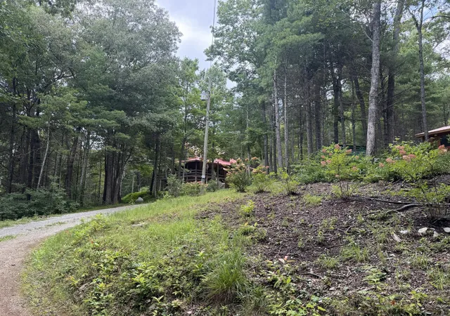3rd image of 205 Holder Cemetery Road, Tellico Plains, TN 37385 | MLS# 3222059