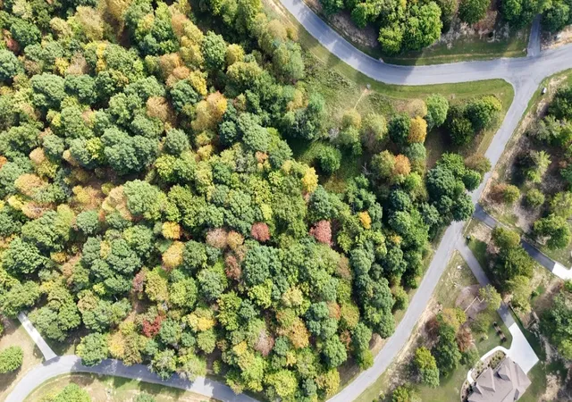 Homes for sale in Dunlap, TN | 998 Roaring Creek Road #Lot 297, Dunlap, TN 37327 | MLS# 3226626