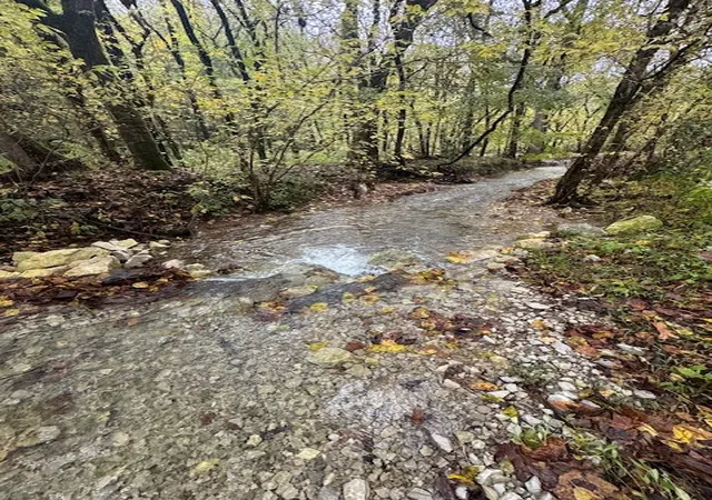 1st image of 0 Mcbroom Branch Rd, Baxter, TN 38544 | MLS# 3169895