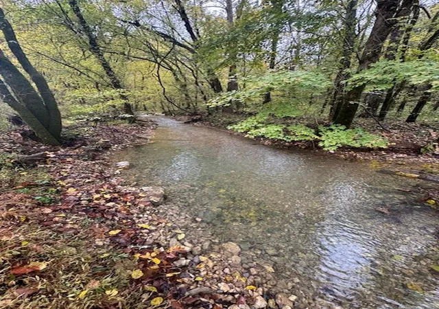 3rd image of 0 Mcbroom Branch Rd, Baxter, TN 38544 | MLS# 3169895