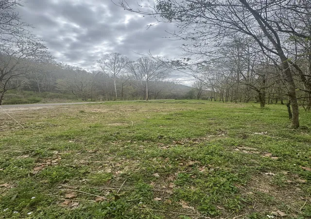 5th image of 0 Mcbroom Branch Rd, Baxter, TN 38544 | MLS# 3169895