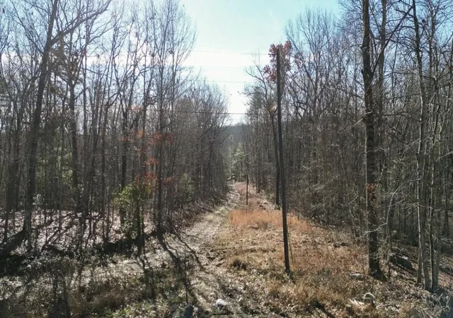 5th image of 69 W Log Road W, Spring City, TN 37381 | MLS# 3304367