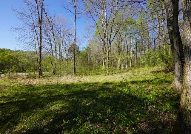 Photo 4 of Land for sale at 4219 Highway 49, Tennessee Ridge, TN 37178 | MLS# 3172829 | Listing updated on 2026-09-04