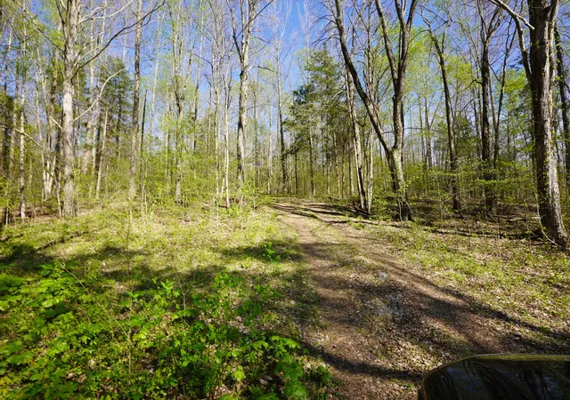 Photo 3 of Land for sale at 4219 Highway 49, Tennessee Ridge, TN 37178 | MLS# 3172829 | Listing updated on 2026-09-04
