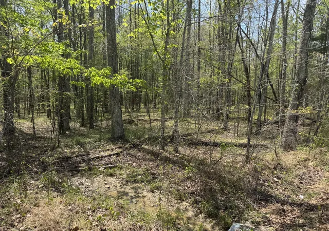 Homes for sale in Chapmansboro, TN | 0 Lewis Road, Chapmansboro, TN 37035 | MLS# 3170104