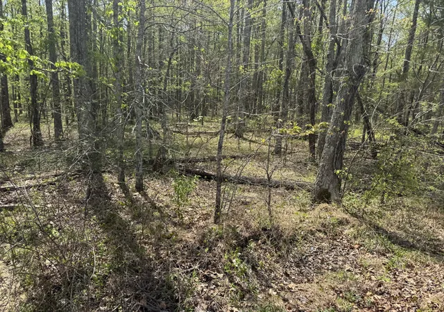 Homes for sale in Chapmansboro, TN | 0 Lewis Road, Chapmansboro, TN 37035 | MLS# 3170104