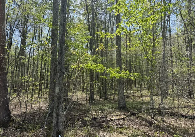 Homes for sale in Chapmansboro, TN | 0 Lewis Road, Chapmansboro, TN 37035 | MLS# 3170104