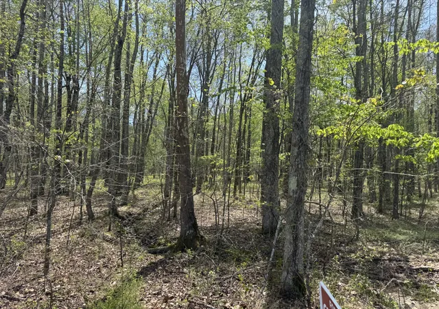 Homes for sale in Chapmansboro, TN | 0 Lewis Road, Chapmansboro, TN 37035 | MLS# 3170104