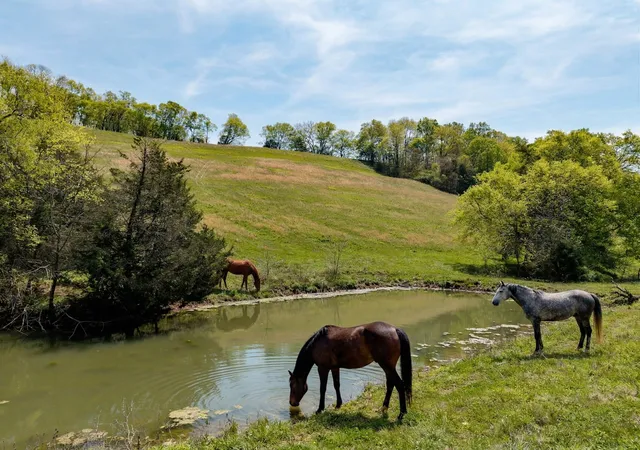 1st image of 305 Ingram Rd, Pulaski, TN 38478 | MLS# 3171550