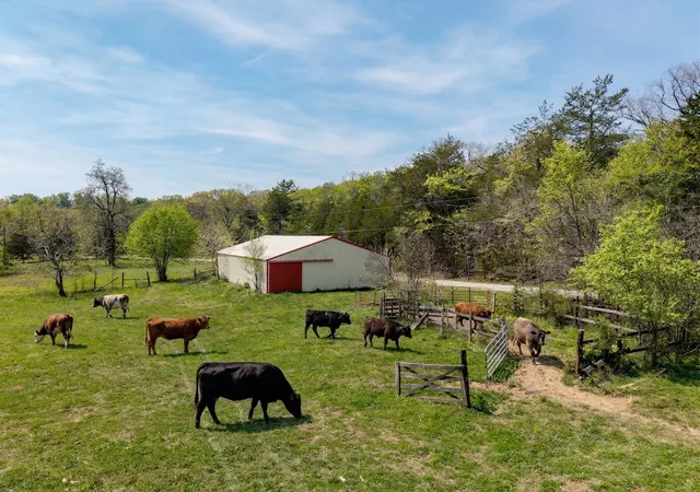5th image of 305 Ingram Rd, Pulaski, TN 38478 | MLS# 3171550
