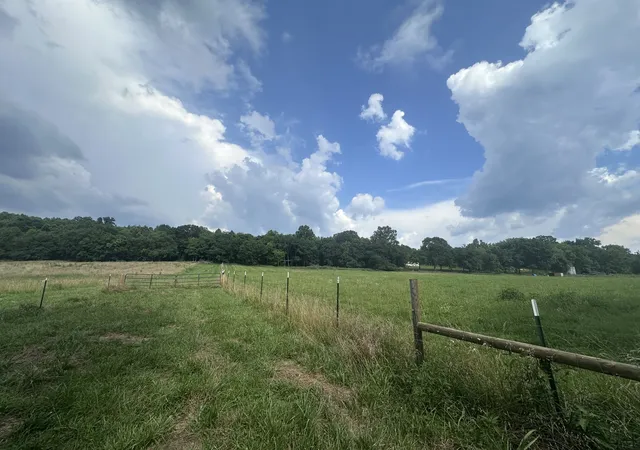 14th image of 0 Lick Creek Road, Dover, TN 37058 | MLS# 3170459