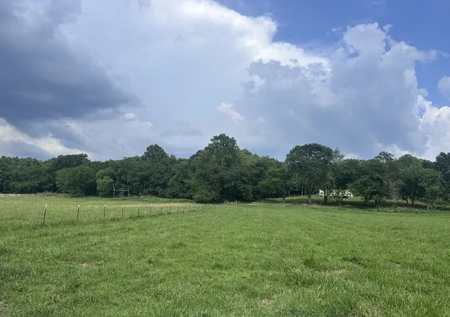 Photo 3 of Land for sale at 0 Lick Crk Rd, Dover, TN 37058 | MLS# 3170459 | Listing updated on 2026-09-03