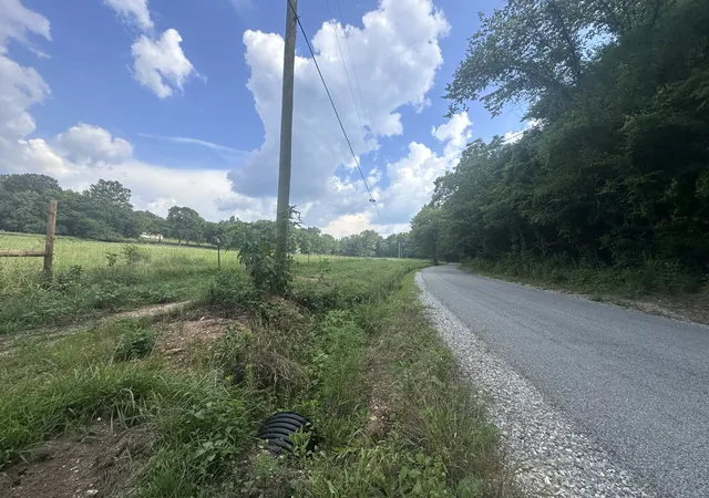 Photo 4 of Land for sale at 0 Lick Crk Rd, Dover, TN 37058 | MLS# 3170459 | Listing updated on 2026-09-03