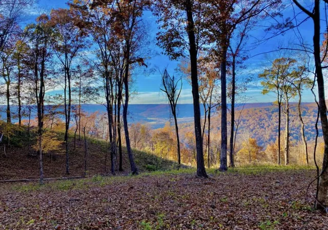 2nd image of 390 Volunteer Street, Jasper, TN 37347 | MLS# 3170396