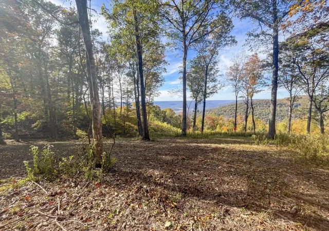 1st image of 390 Volunteer Street, Jasper, TN 37347 | MLS# 3170396