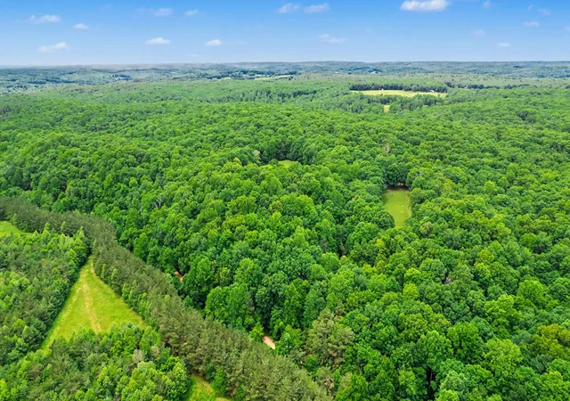 Photo 1 of Land for sale at 0 Little Hurricane Crk, Mc Ewen, TN 37101 | MLS# 3225296 | Listing updated on 2026-08-31