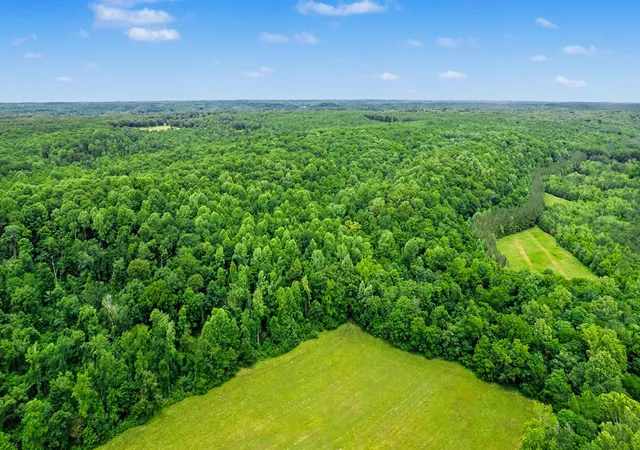 Photo 2 of Land for sale at 0 Little Hurricane Crk, Mc Ewen, TN 37101 | MLS# 3225296 | Listing updated on 2026-08-31