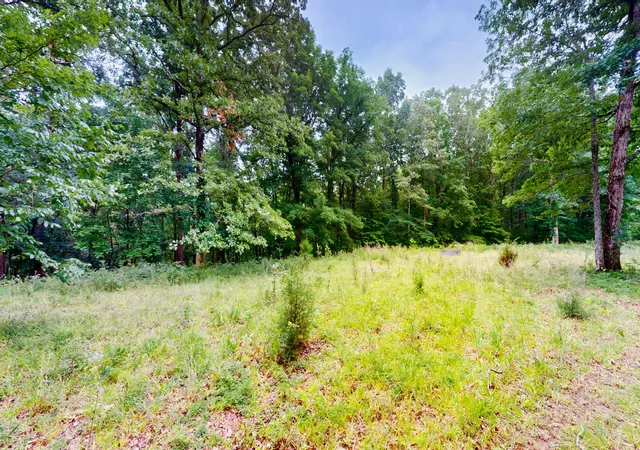 Photo 3 of Land for sale at 0 Little Hurricane Crk, Mc Ewen, TN 37101 | MLS# 3225296 | Listing updated on 2026-08-31