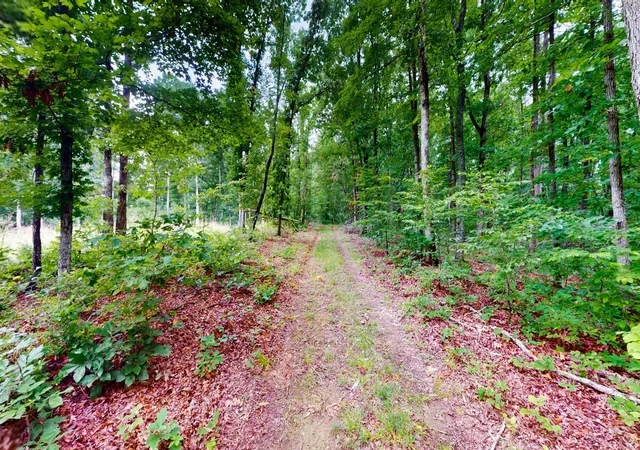 Photo 3 of Land for sale at 0 Little Hurricane Crk, Mc Ewen, TN 37101 | MLS# 3225296 | Listing updated on 2026-08-31