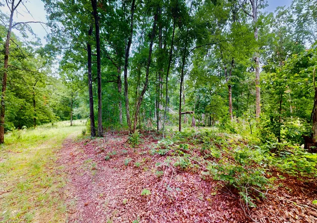 Photo 4 of Land for sale at 0 Little Hurricane Crk, Mc Ewen, TN 37101 | MLS# 3225296 | Listing updated on 2026-08-31