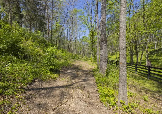 Photo 4 of Land for sale at 1 Johnson Holw Rd, Thompsons Station, TN 37179 | MLS# 3176331 | Listing updated on 2026-10-10