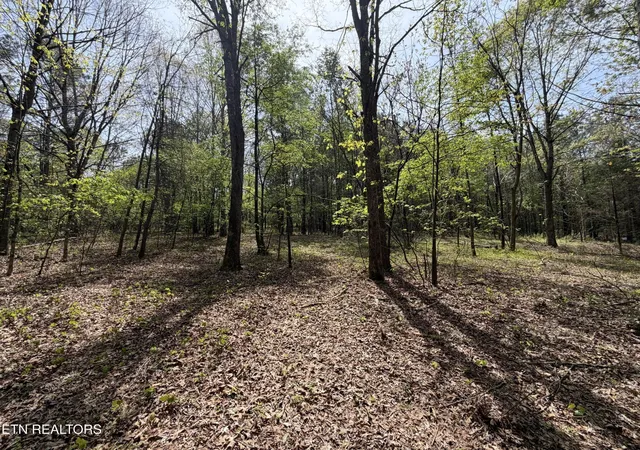 Homes for sale in Loudon, TN | 7836 Dry Valley Road, Loudon, TN 37774 | MLS# 3269860