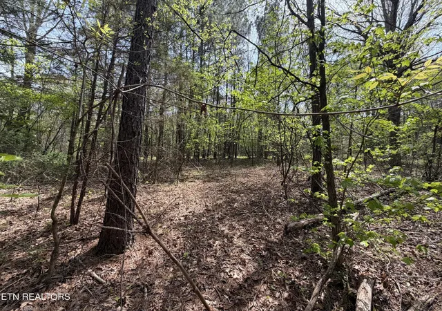 Homes for sale in Loudon, TN | 7836 Dry Valley Road, Loudon, TN 37774 | MLS# 3269860