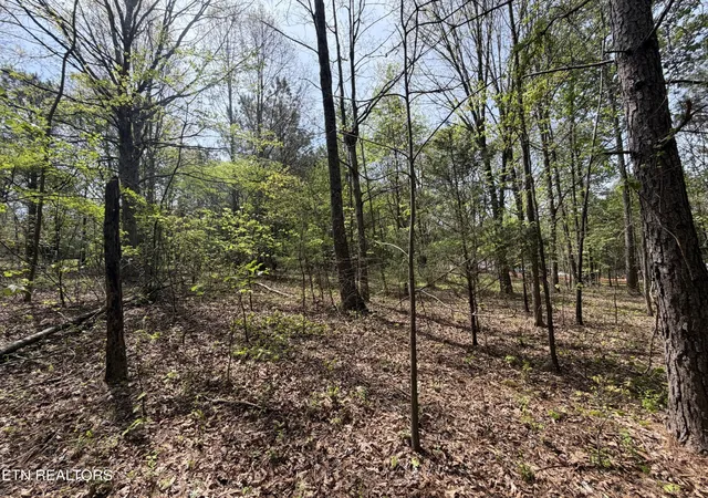 Homes for sale in Loudon, TN | 7836 Dry Valley Road, Loudon, TN 37774 | MLS# 3269860