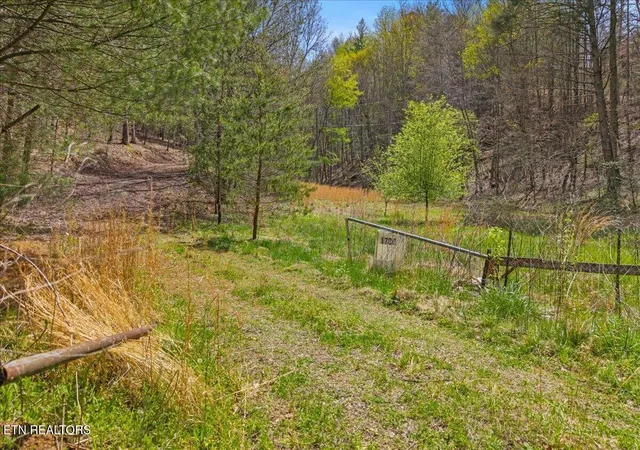 60th image of 1736 Rafter Road, Tellico Plains, TN 37385 | MLS# 3229310