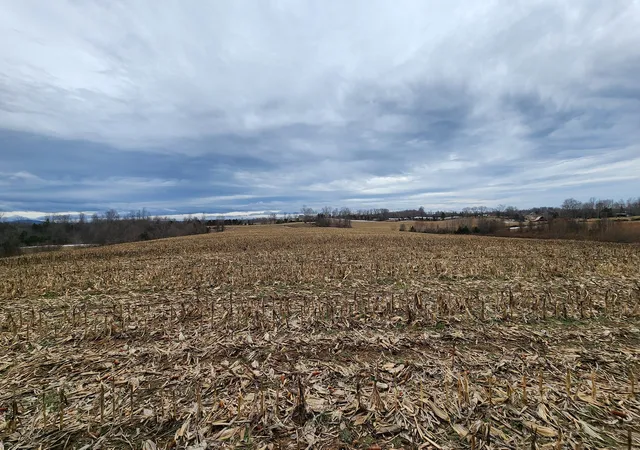 2nd image of 55 Indian Mound Rd, Sparta, TN 38583 | MLS# 3170898