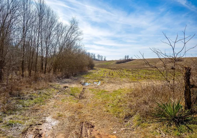 24th image of 55 Indian Mound Rd, Sparta, TN 38583 | MLS# 3170898