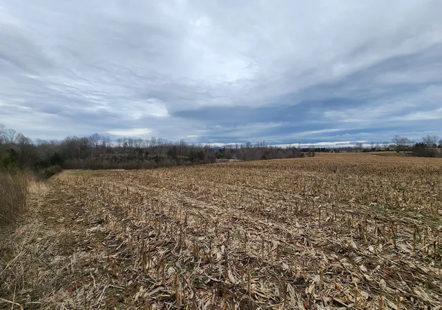 Photo 3 of Land for sale at 55 Indian Mound Rd, Sparta, TN 38583 | MLS# 3170898 | Listing updated on 2026-08-30